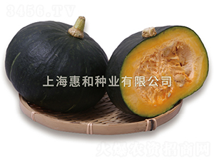 ����-�ϹϷN��-�ݺͷN�I(y��)