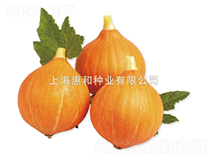 СȪһ��-�ϹϷN��-�ݺͷN�I(y��)