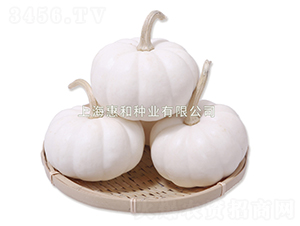 �����-�ϹϷN��-�ݺͷN�I(y��)