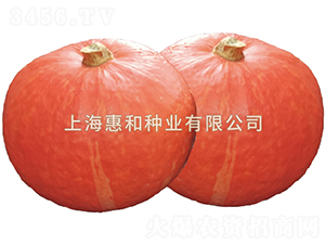 ����-�ϹϷN��-�ݺͷN�I(y��)