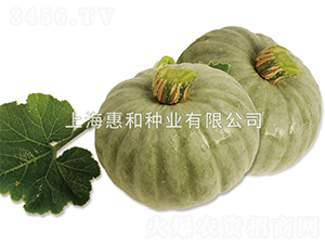 �y��-�ϹϷN��-�ݺͷN�I(y��)