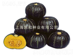 ؐؐ��̖-�ϹϷN��-�ݺͷN�I(y��)