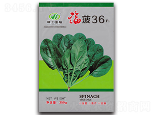 ����36-���˷N��-�︣�r(n��ng)�I(y��)