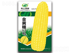 ���SŴ12̖(h��o)-���׷N��-�︣�r(n��ng)�I(y��)