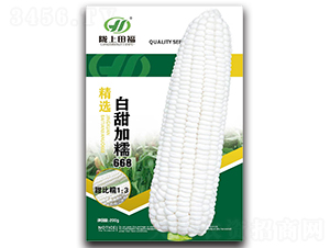 �����Ŵ668-���׷N��-�︣�r(n��ng)�I(y��)