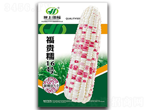 ���FŴ16̖(h��o)-���׷N��-�︣�r(n��ng)�I(y��)