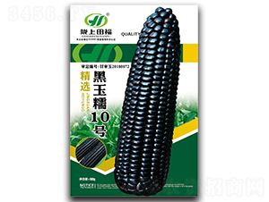 ����Ŵ10̖(h��o)-���׷N��-�︣�r(n��ng)�I(y��)