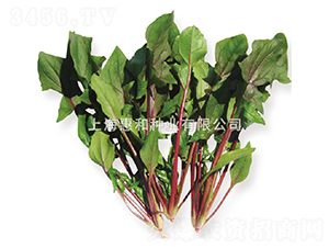 �tɏ��-���˷N��-�ݺͷN�I(y��)