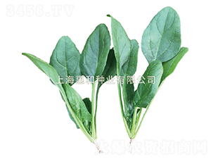 �ݲ���̖-���˷N��-�ݺͷN�I(y��)