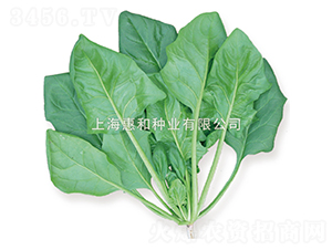 �r�G��̖-���˷N��-�ݺͷN�I(y��)