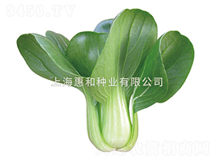 ����-��˷N��-�ݺͷN�I(y��)