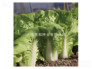 ���20-�ײ˷N��-�ݺͷN�I(y��)