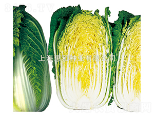 ����֮��-�ײ˷N��-�ݺͷN�I(y��)