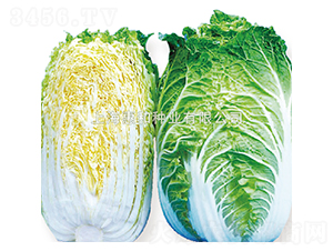 �S��65-�ײ˷N��-�ݺͷN�I(y��)