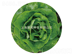 �G��-���˷N��-�ݺͷN�I(y��)