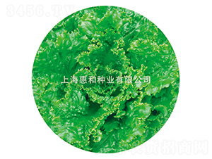 ������-���˷N��-�ݺͷN�I(y��)