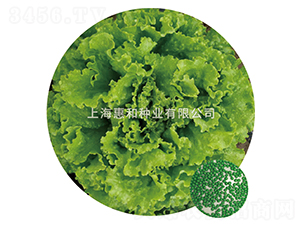 ����-���˷N��-�ݺͷN�I(y��)