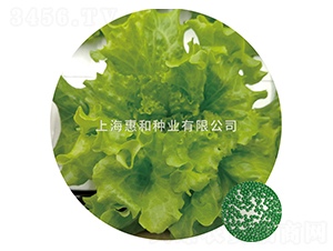 �G���~-���˷N��-�ݺͷN�I(y��)