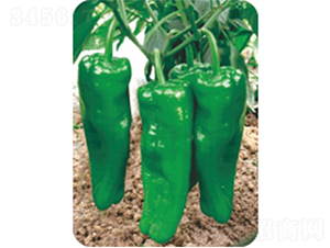 ���r(n��ng)808-�����N��-�����r(n��ng)�I(y��)