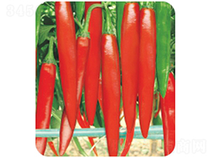 �t����404-�����N��-�����r(n��ng)�I(y��)