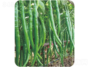 �G�u-�����N��-�����r(n��ng)�I(y��)