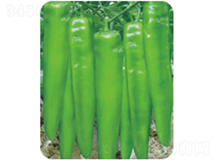 ��������-�����N��-�����r(n��ng)�I(y��)