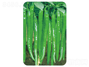 �L(zh��ng)�S6̖(h��o)-�����N��-�����r(n��ng)�I(y��)