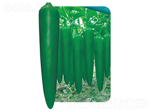 �L(zh��ng)��2̖(h��o)-�����N��-�����r(n��ng)�I(y��)