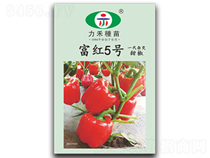 ���t5̖(h��o)-�����N��-�����r(n��ng)�I(y��)