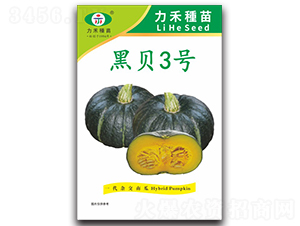 ��ؐ3̖-�ϹϷN��-�����r(n��ng)�I(y��)