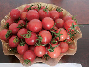 ����1̖-���ѷN��-�����r(n��ng)�I(y��)