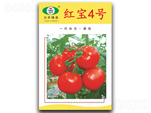 �t��4̖-���ѷN��-�����r(n��ng)�I(y��)