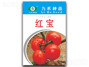 �t��-���ѷN��-�����r(n��ng)�I(y��)