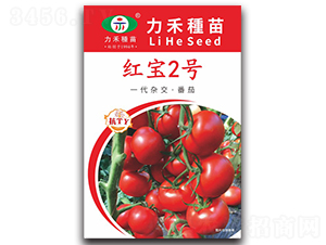 �t��2̖(h��o)-���ѷN��-�����r(n��ng)�I(y��)