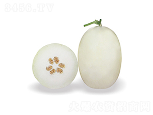 ؐؐ-��ϷN��-�����r(n��ng)�I(y��)