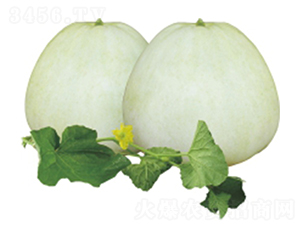 ����-��ϷN��-�����r(n��ng)�I(y��)