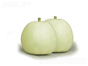 ����-��ϷN��-�����r(n��ng)�I(y��)