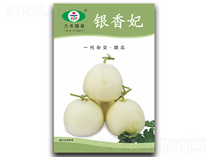 �y����-��ϷN��-�����r(n��ng)�I(y��)