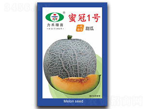 �۹�1̖-��ϷN��-�����r(n��ng)�I(y��)