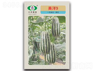 ����9-��ϷN��-�����r(n��ng)�I(y��)