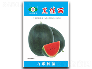 �ڼ���-���ϷN��-�����r(n��ng)�I(y��)