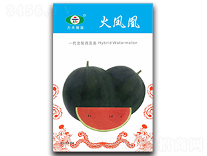 ���P��-���ϷN��-�����r(n��ng)�I(y��)