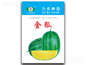 ���-���ϷN��-�����r(n��ng)�I(y��)