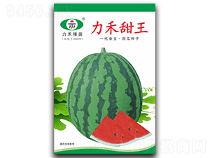 ��������-���ϷN��-�����r(n��ng)�I(y��)