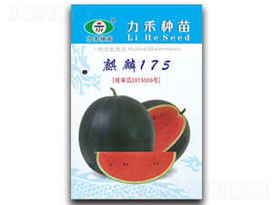 ����175-���ϷN��-�����r(n��ng)�I(y��)