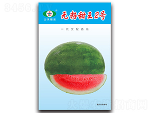 �o������2̖(h��o)-���ϷN��-�����r(n��ng)�I(y��)