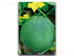 �����-��ϷN��-�������r(n��ng)�I(y��)