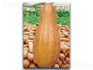 ܽ�ش��-�ϹϷN��-�������r(n��ng)�I(y��)