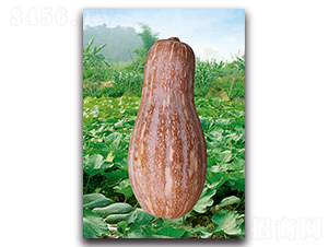 ���۶�̖-�ϹϷN��-�������r(n��ng)�I(y��)