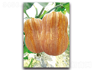 ��������̖-�ϹϷN��-�������r(n��ng)�I(y��)